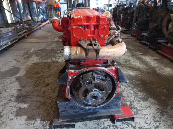 20250501_113454-600x450